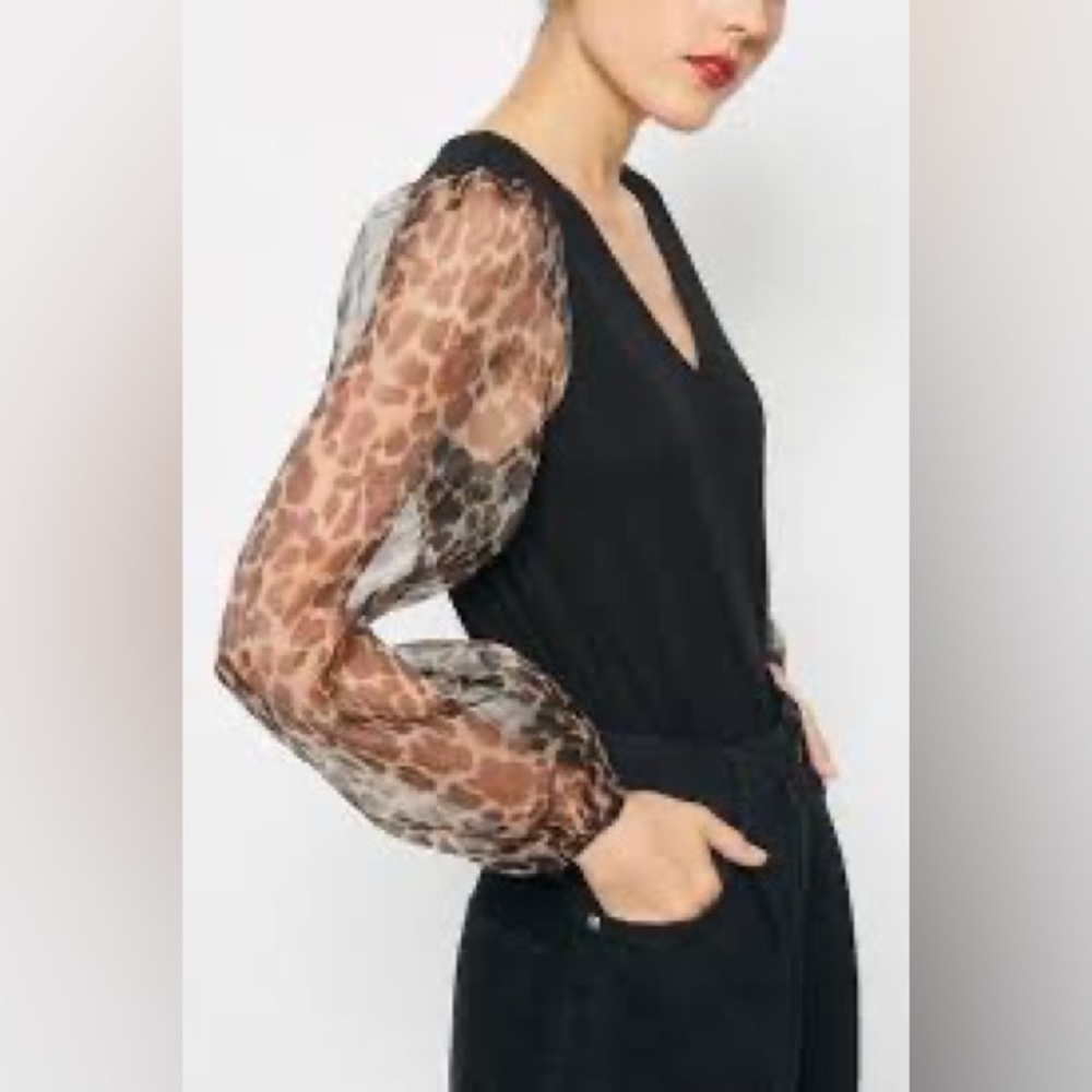 Hayden Top with Sheer Sleeves